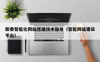溧阳新泰智能化网站搭建技术指导（智能网站建设平台）